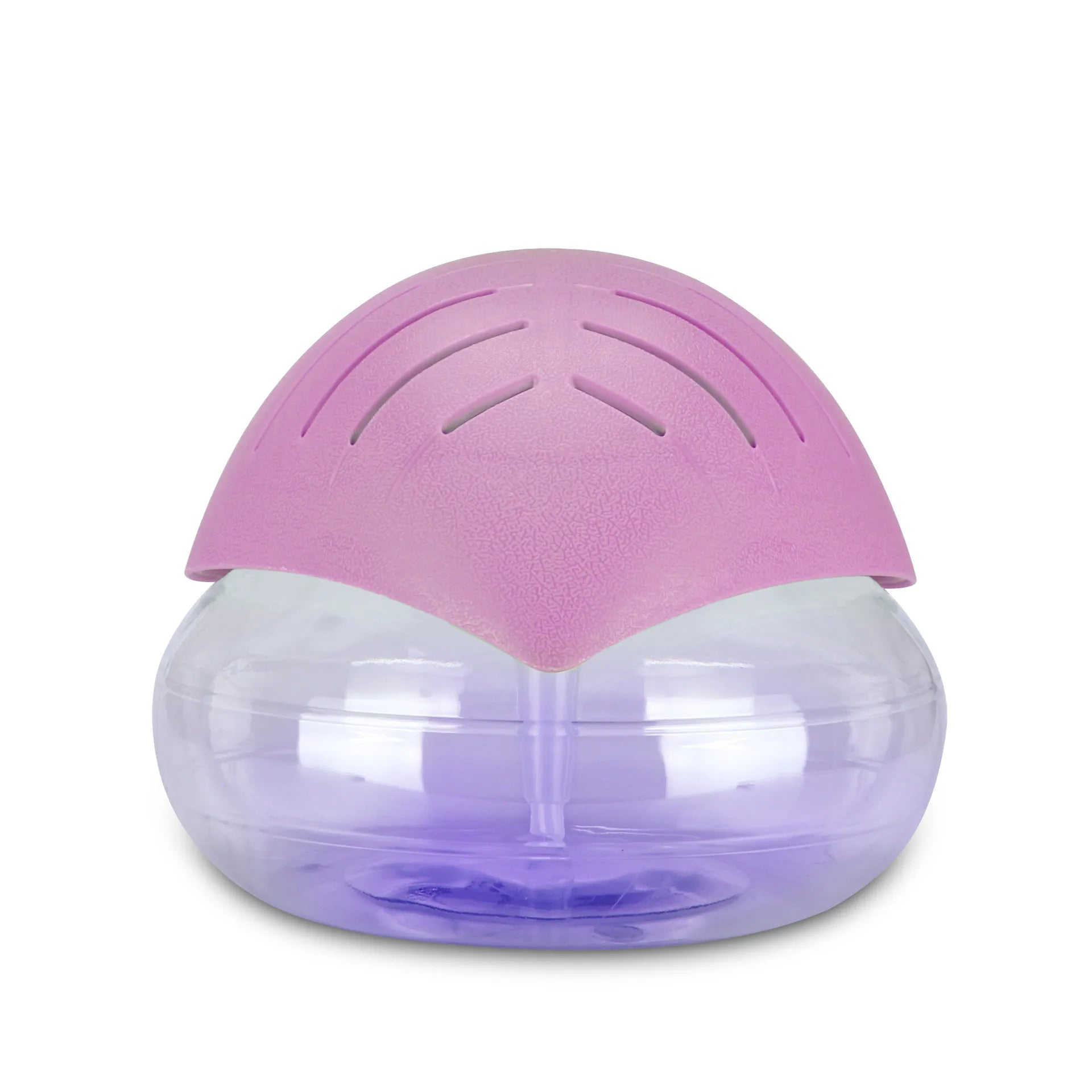 Air Purifier(4 bottles of perfume)
